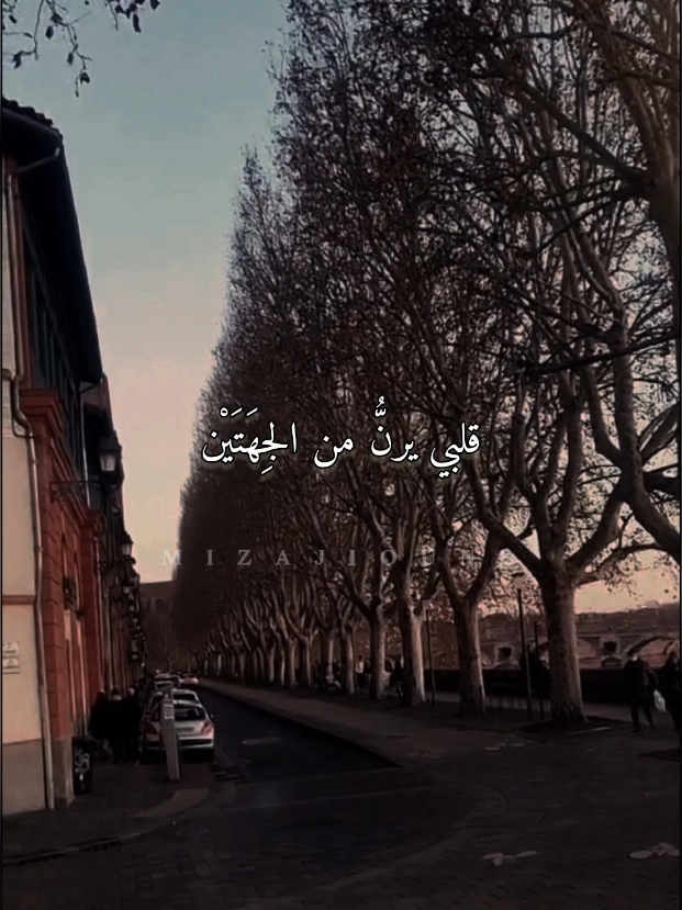 #محموددرويش #محمود_درويش #mahmouddarwish #شعر #الزمن_الجميل #الزمن #قلبي #toulouse #القاء  #france 