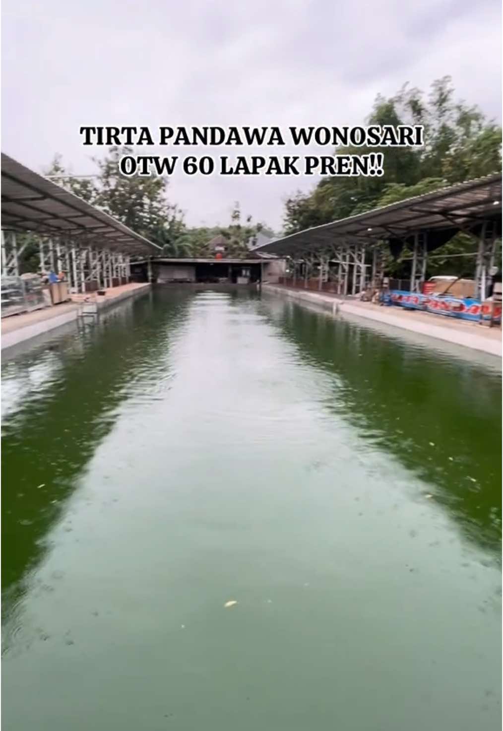 Di tunggu sebentar lagi bolo.🫵 @TIRTA PANDAWA WONOSARI #fyp #tirtapandawa #kolammasteranjogja #joranbesutanyogyakarta #masterbawal #masterbawaljogja 