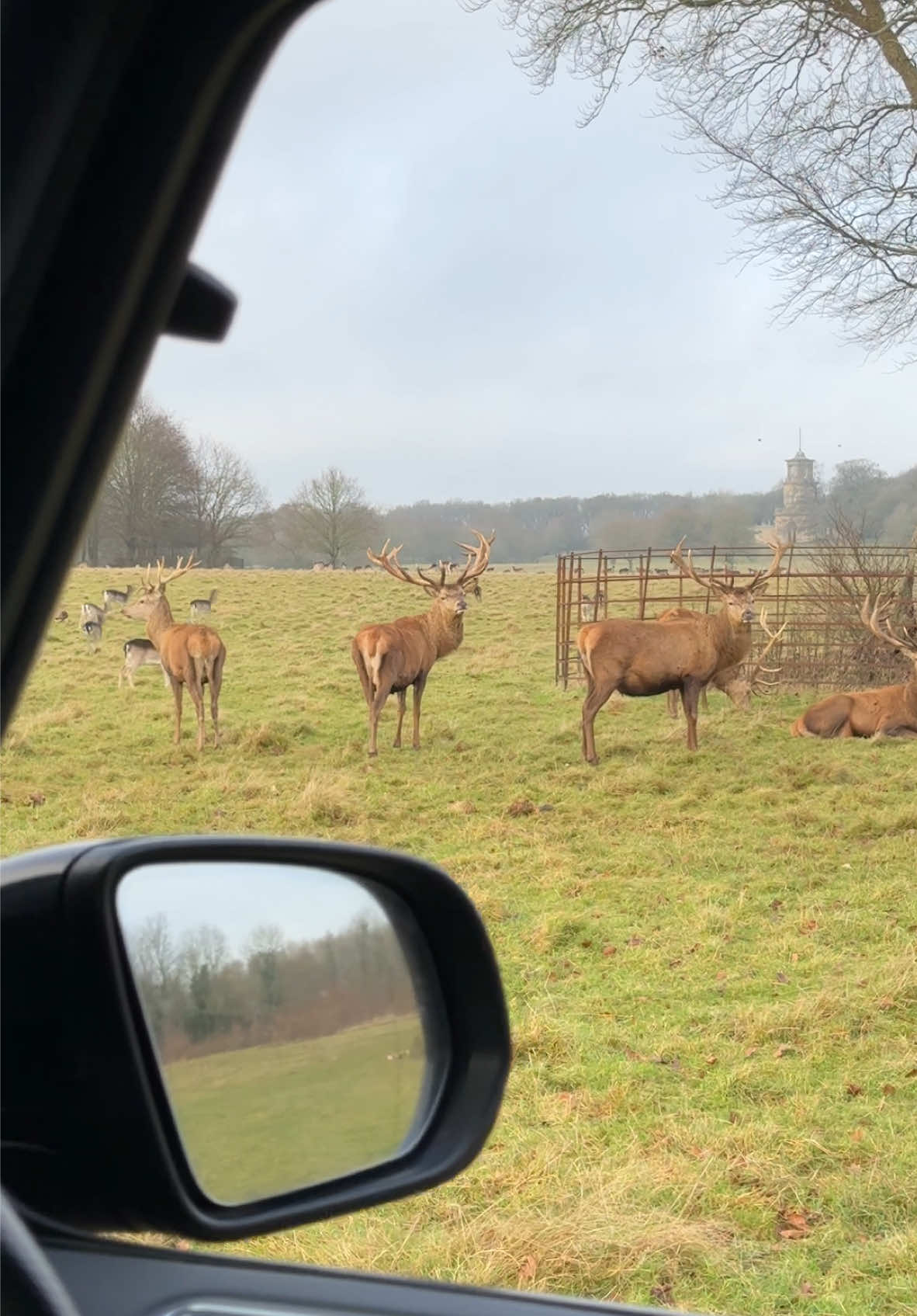 the days inbetween are the best🕯️🧺🌲🍄🦌