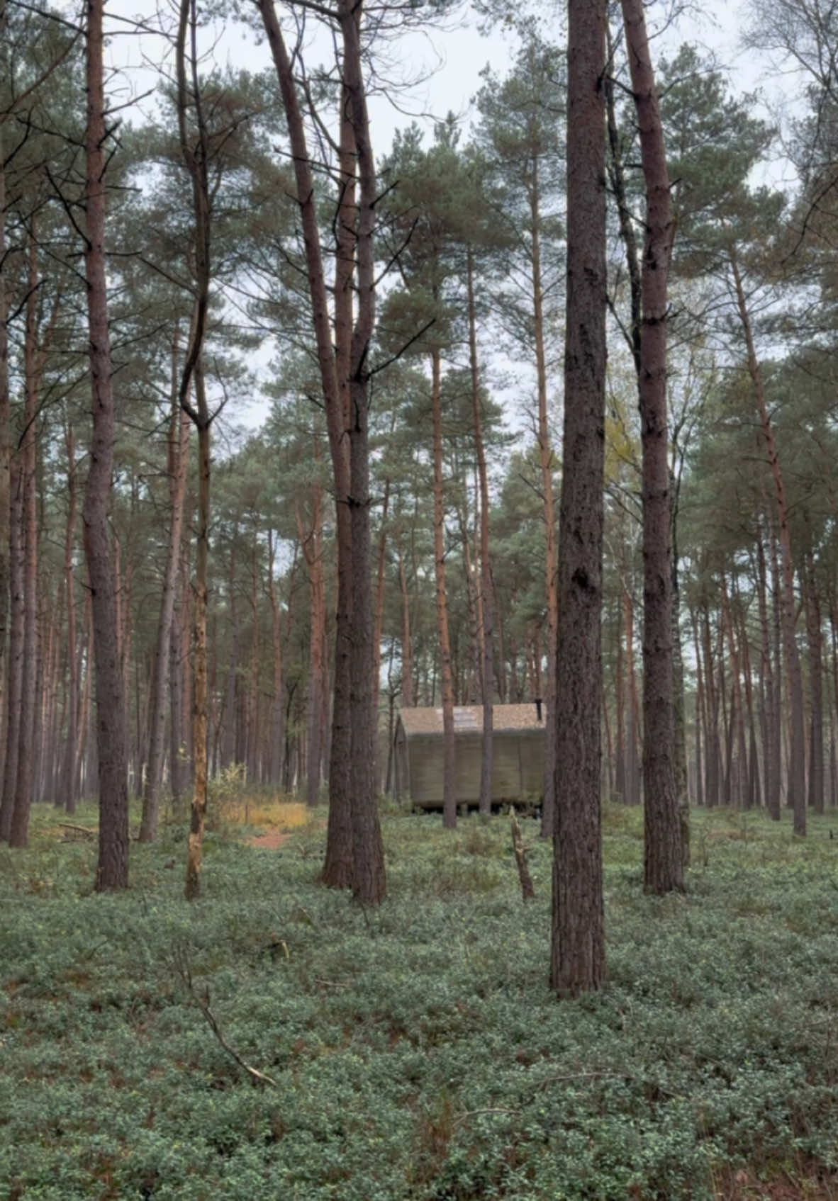 Hiked 2 hours to a self-sufficient cabin in the woods 🌳 by @Cabiner #getaway #cabin 