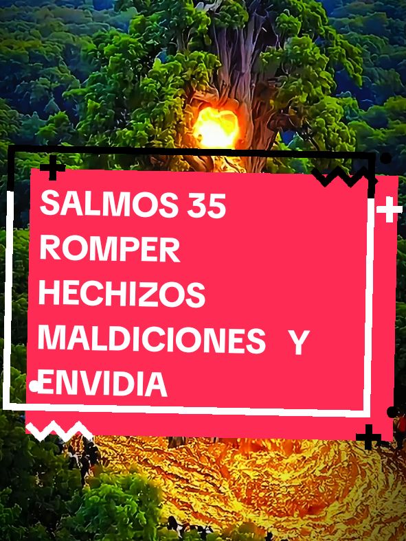 Salmos 35#salmos #salmo35 #salmo 