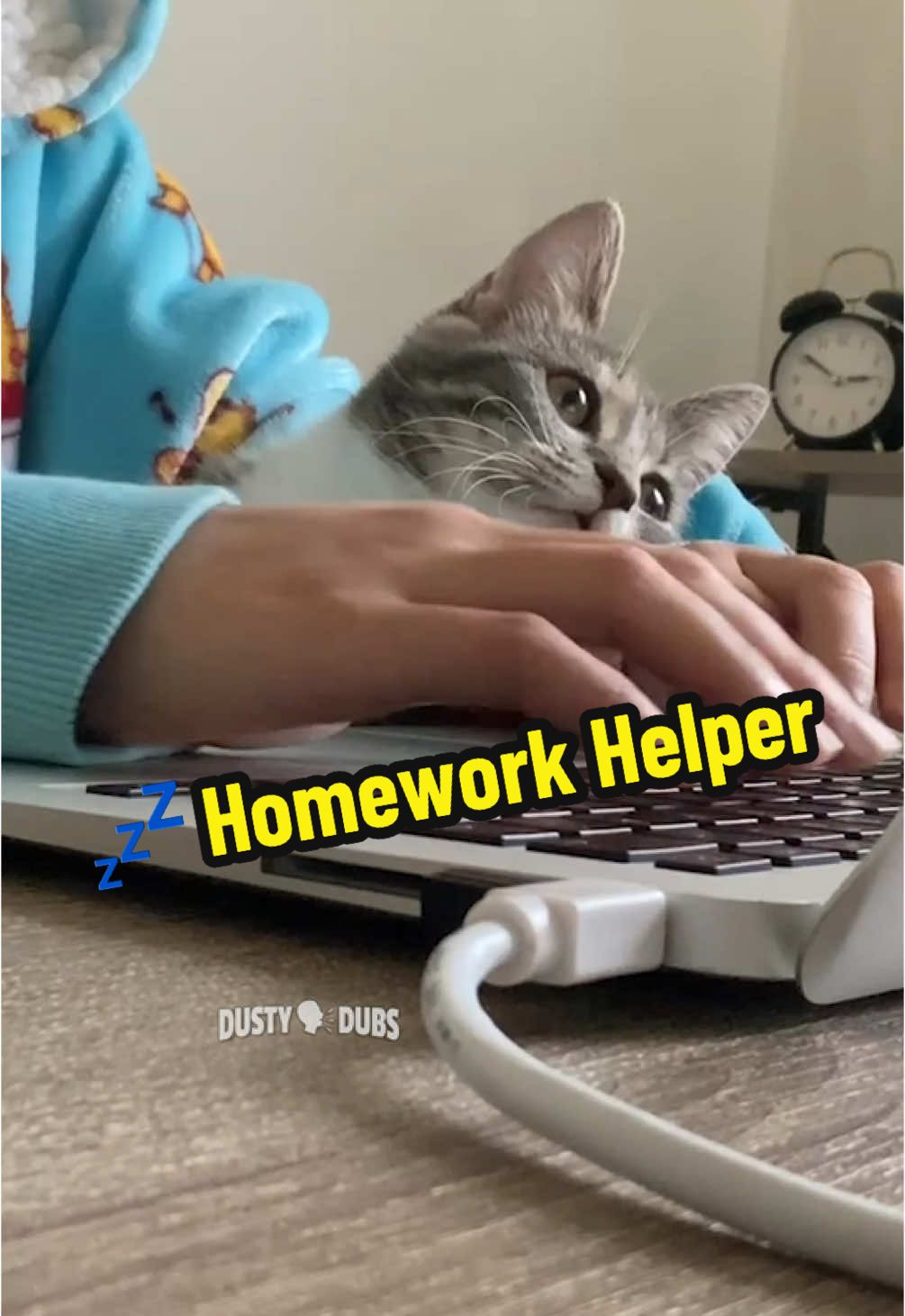 💤 Homework Helper 🎥: website fan submission from Zingo_beans (IG) #cat #kitten #homework #helper #cute