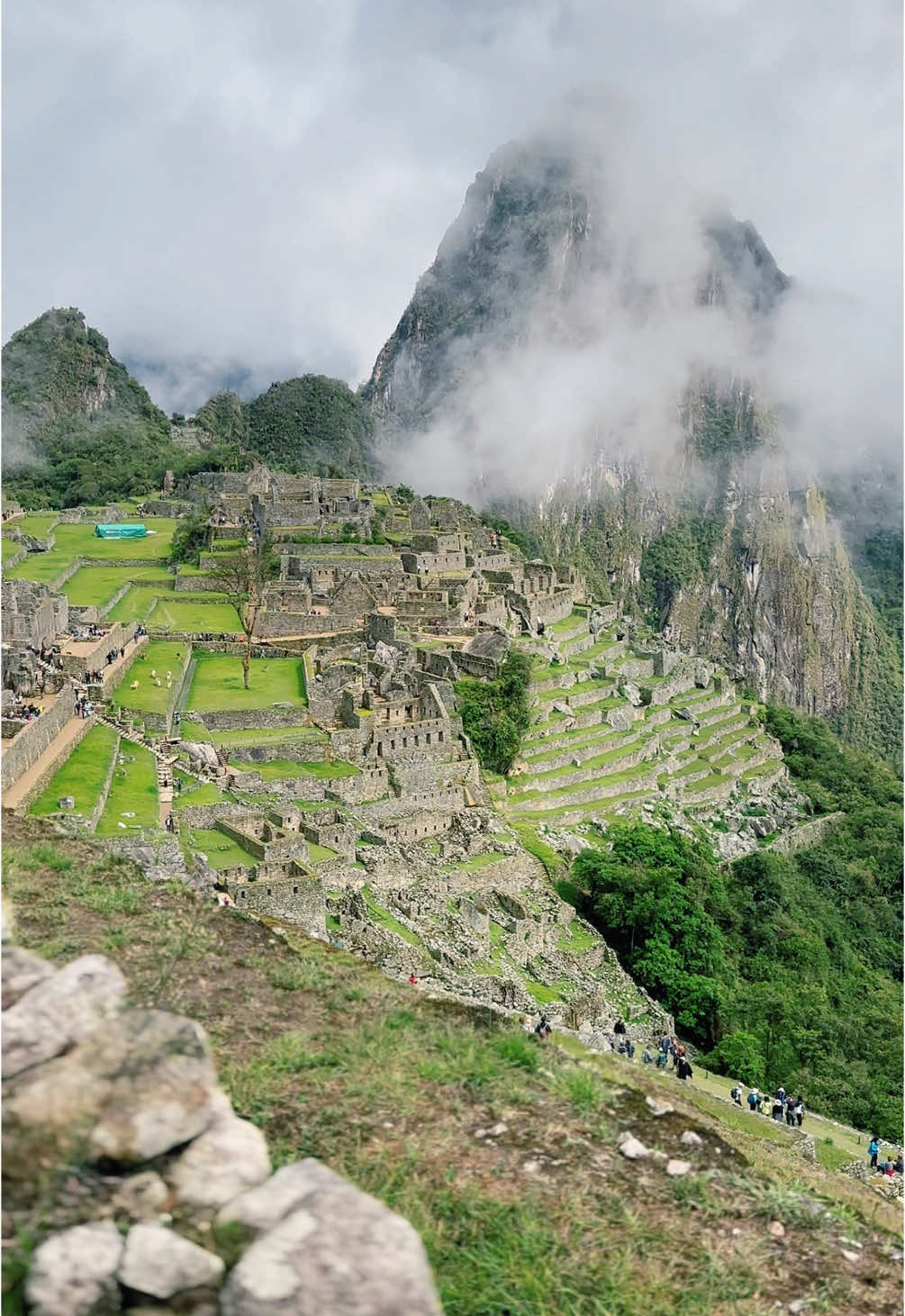 Mucho gusto mi nombre Manuel silva zaldivar 😃guia oficial de Machupicchu. Información turística y Venta de paquetes turisticos  ☎️+51923548228☎️ ☎️+51937701519☎️ 🟢City tour cusco 🟡Valle sagrado de los Inkas 🟦laguna Umantay 🟩montaña 7 colores🌈 🟧valle sur Me deja su numero para mayores informes Gracias#cuscoperu #GuiadosMACHUPICCHU #tours 