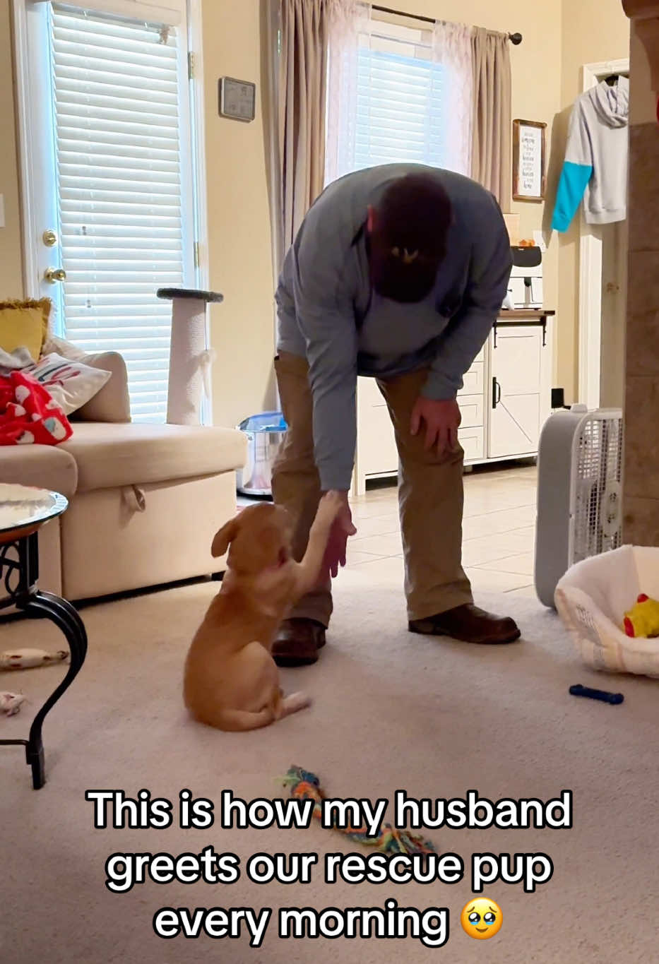 My husband and our rescue pups daily greeting in the morning 🥹… these two own me ♥️ #rescuedog #adoptdontshop #puppy #fyp #dogsoftiktok #dog #puppiesoftiktok #rescue #PetsOfTikTok #pets 