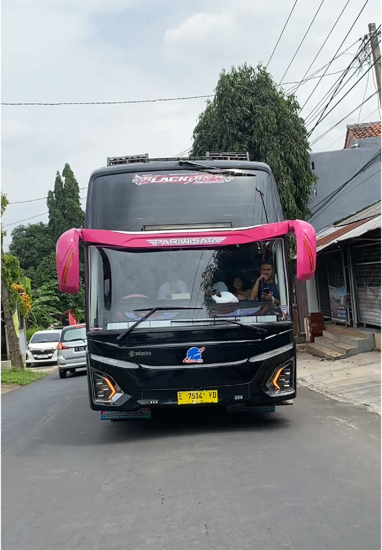 blackpink cuy kapan lagi geura🤩#tunggaljayatransport #blackpink #basuri #busmania #fyp #fypシ #viral #foryou #teloletbasuri 