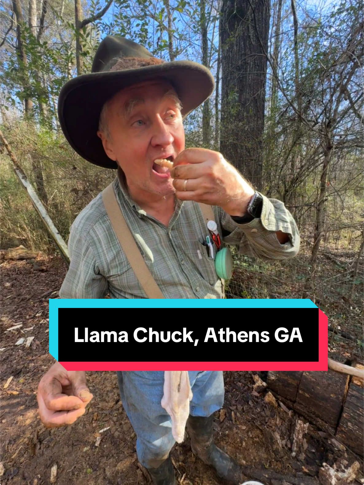 Still out of office until the 1st, have yall met my Father in law yet? Llama Chuck, check out his youtube! #athensga #llamachuck #woodgrub #hakunamatata #abugslife #wildman #georgia 