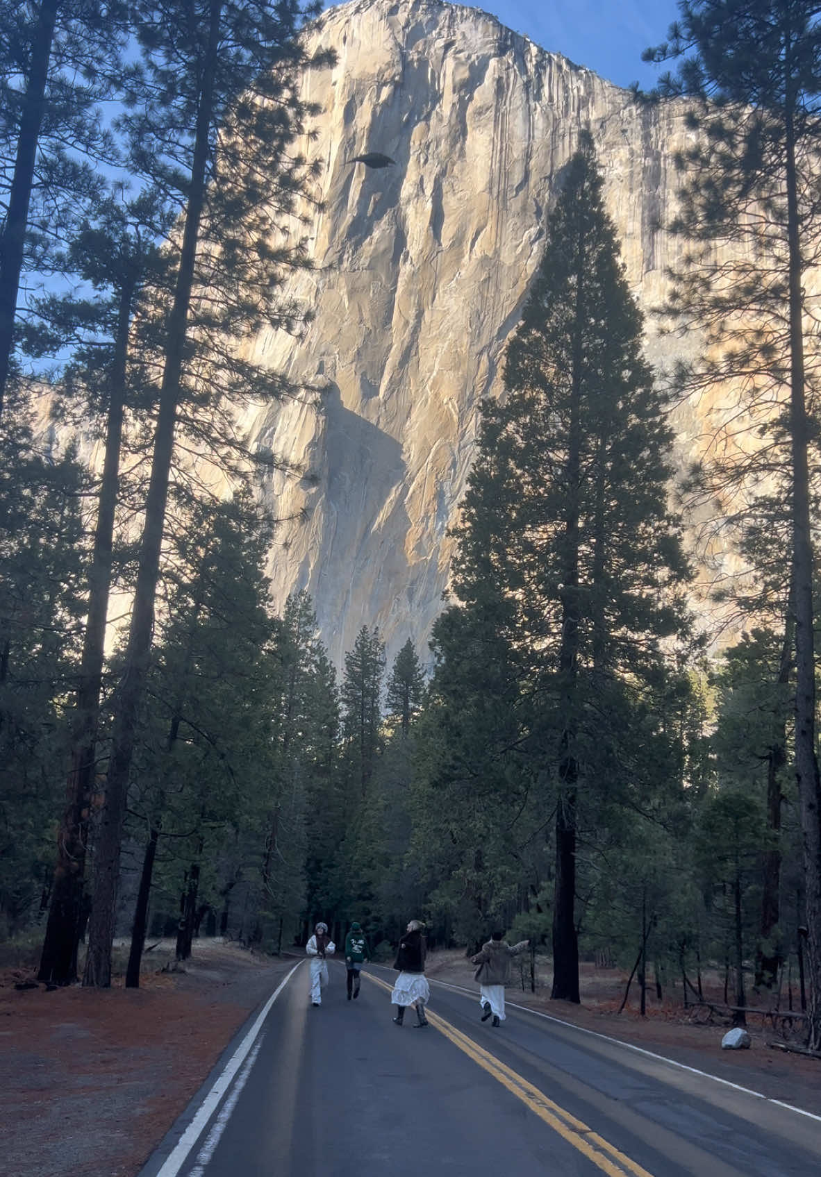 living a literal dream. #yosemite #elcapitan #yosemitenationalpark 