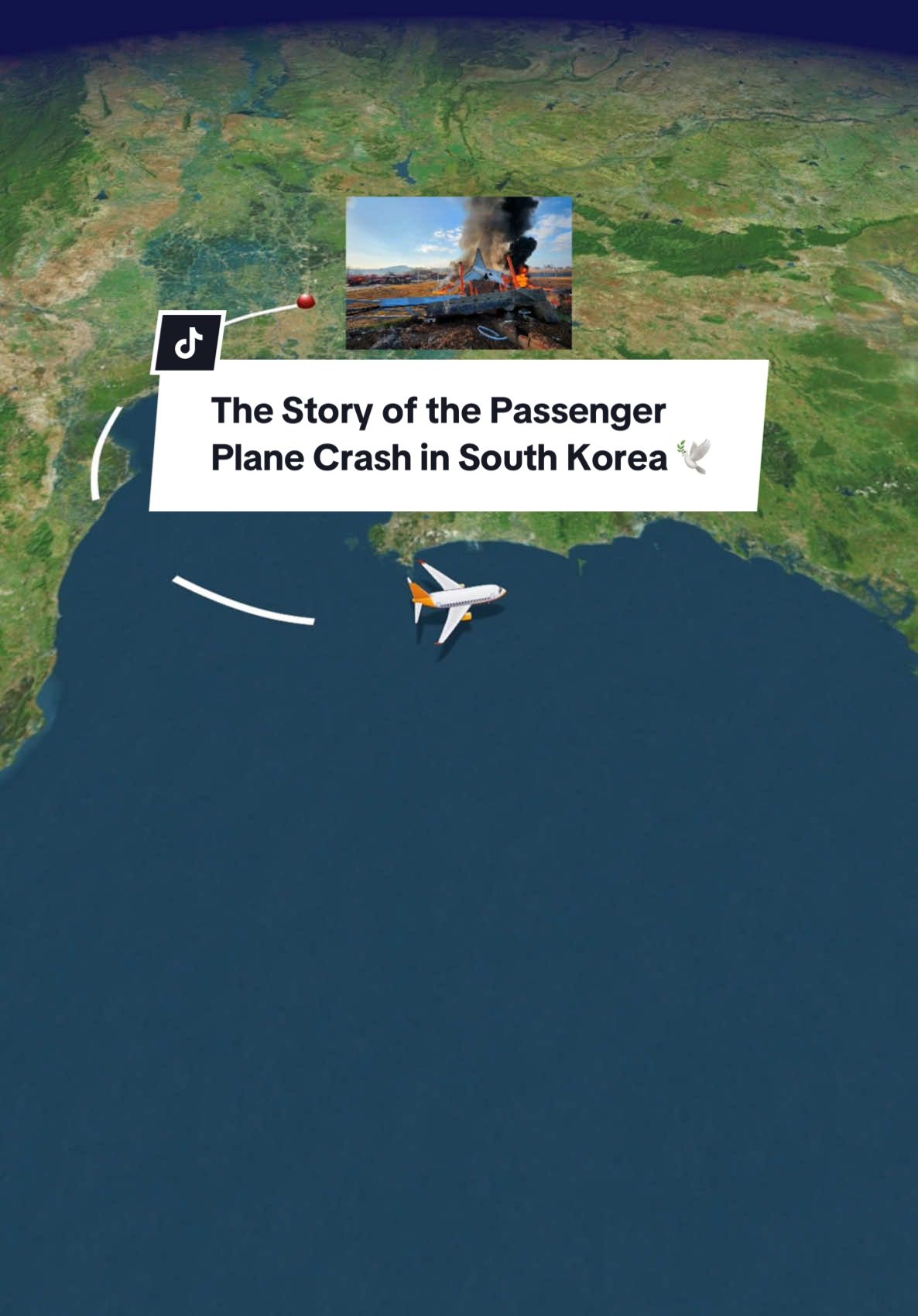 The Story of the Plane Crash in South Korea today | #jeju #jejuair #southkorea #muanairport #plane #planecrash | What happend to the jeju Plane Crash I Footage Plane Crash south Korea jeju I