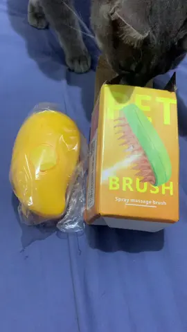 Escova Vapor Brush Tira Pelo Pet Recarregável Usb Cão Gato - R$9,95 https://produto.mercadolivre.com.br/MLB-3942923935-escova-vapor-brush-tira-pelo-pet-recarregavel-usb-co-gato-_JM