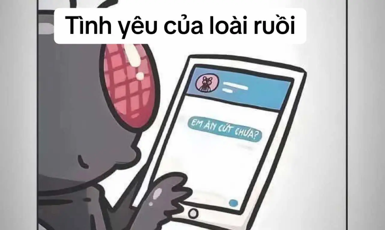 Tình yêu của loài ruồi