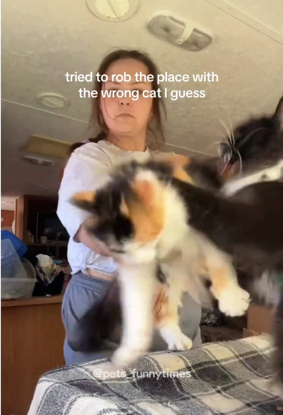 🐱😡😡😡#cat #cats #cutecat #catlover #fyp #foryou #foryoupage #funny #funnycat #funnyvideos #funnytiktok #funnyanimals #kitty #usa