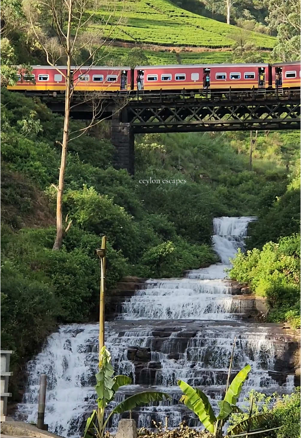 Ice Falls - Nanu Oya 🚂🌸☘️ #fypシ #srilankan_tik_tok🇱🇰 #travel #travelsrilanka #visit #traveldestinations #mistyhills  #travelgram #wanderlust #travelreels #exploremore #adventureawaits #travelvlog #instatravel #reelstrending #travellife #explorepage #roamtheplanet #hiddengems #naturelovers #campingvibes #hikingadventures #beautifuldestinations #postcardplaces #chasingsunsets #goplaces #epicviews #traveldiaries