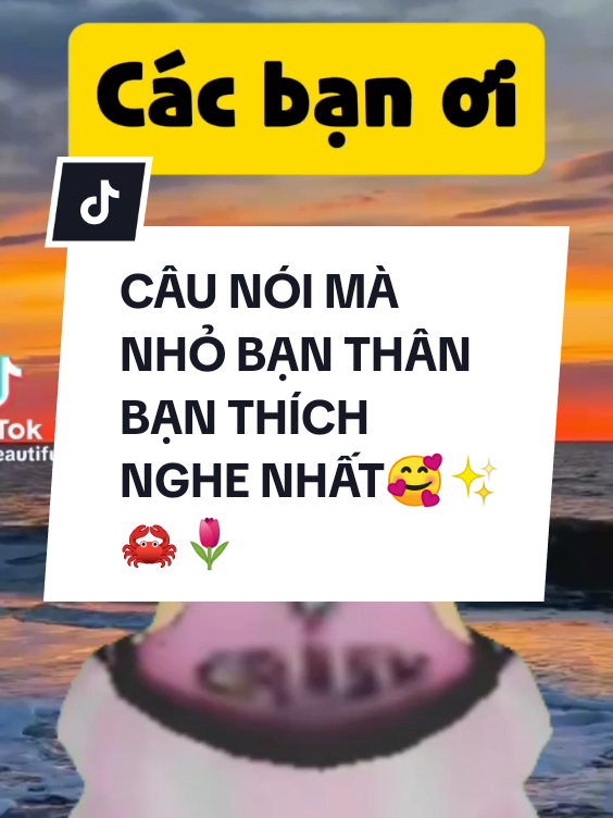 CÂU NÓI MÀ NHỎ BẠN THÂN BẠN THÍCH NGHE NHẤT🥰✨🦀🌷#xh #xuhuong2024 #funny #roblox #tichcucmoingay #xuhuong #tichcuc #lacquan #hanhphuc #vuive #vuivemoingay❤️ #xuhuongtiktok #robloxfunny #robloxslay 