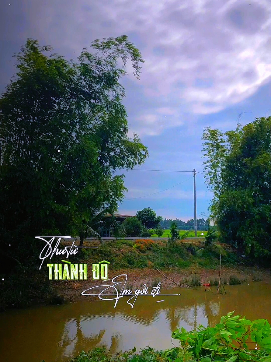 THƯ TỪ THÀNH ĐÔ EM GỬI ĐI.. #xh #nhacbuon #nhachaymoingay #xhtiktok #xhtiktok #canhdep #canhdep_65 #nhactamtrang #newyear2025 #CapCut 