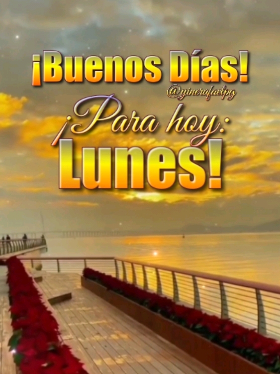 Buenos días! Para hoy: Lunes! #frases #bonitas #parati #dios #bendiciones #felizdia #fyp #buenosdias 