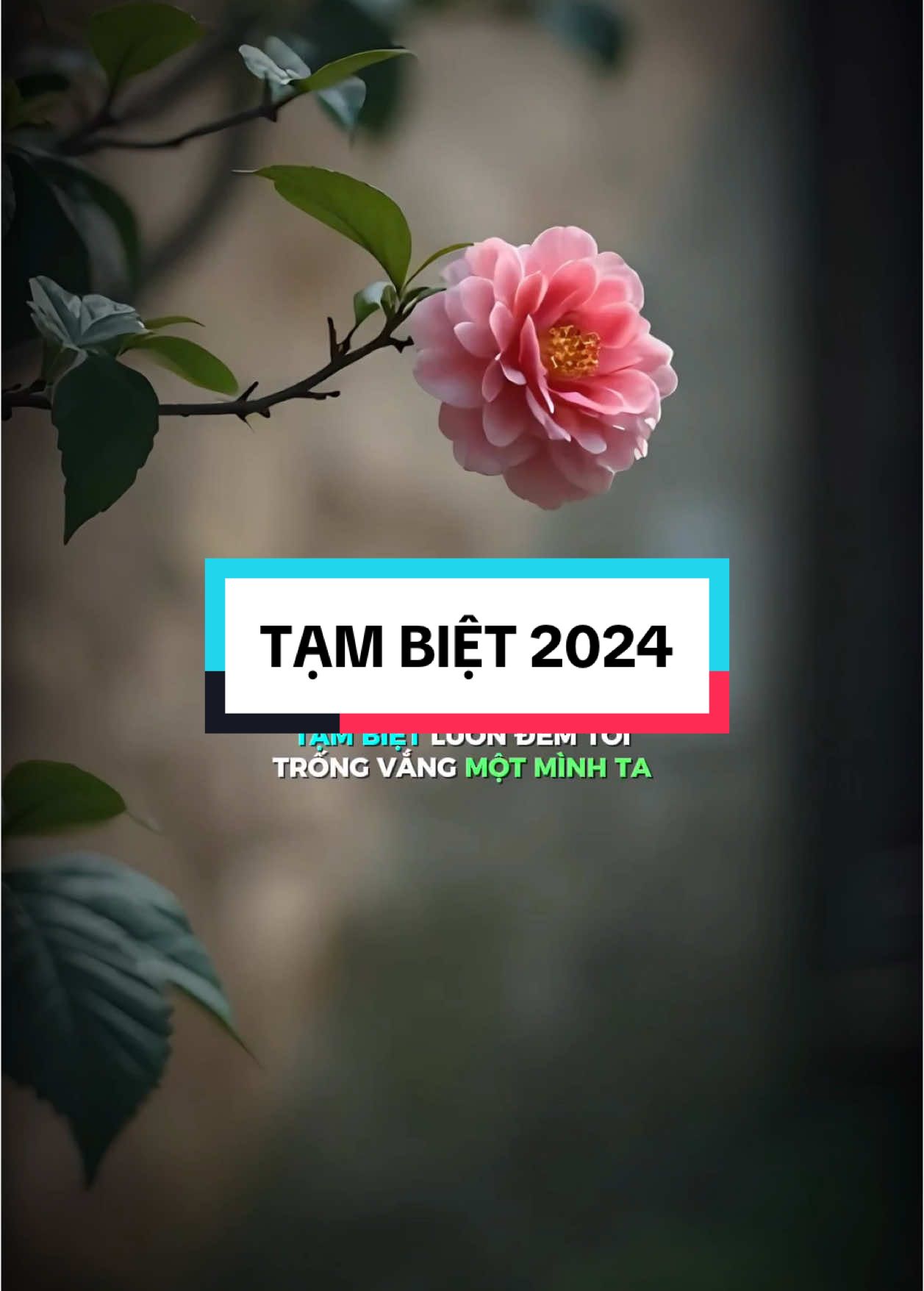 Tạm biệt 2024 ! Hi vọng 2025 mọi việc may mắn ! Cảm ơn mọi người đã ủng hộ và yêu mến kênh ! Chúc mọi người thật nhiều sức khoẻ và may mắn trong cuộc sống ! #CapCut #maucapcut #capcutvideo #zauedit #teamzauedit #zauentertainment #tambiet2024 