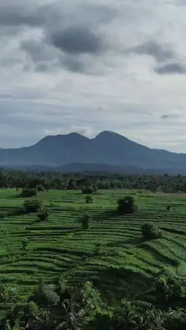 Karangasem: Destinasi yang Kaya Pesona, Asri, dan Berbudaya. Menikmati trekking pagi dari Desa Kastala menuju Desa Tradisional Tenganan Pegringsingan yang penuh pesona. Dengan hamparan sawah hijau dan Gunung Agung yang megah, menyapa para petani sekaligus menjaga alam dengan aksi kecil mengumpulkan sampah plastik.  Yuk, jelajahi keindahan alam dan budaya Karangasem sambil ikut melestarikan lingkungan! #ExploreKarangasem #WisataTrekking #TengananPegringsingan #JagaAlam #PerangiSampahPlastik