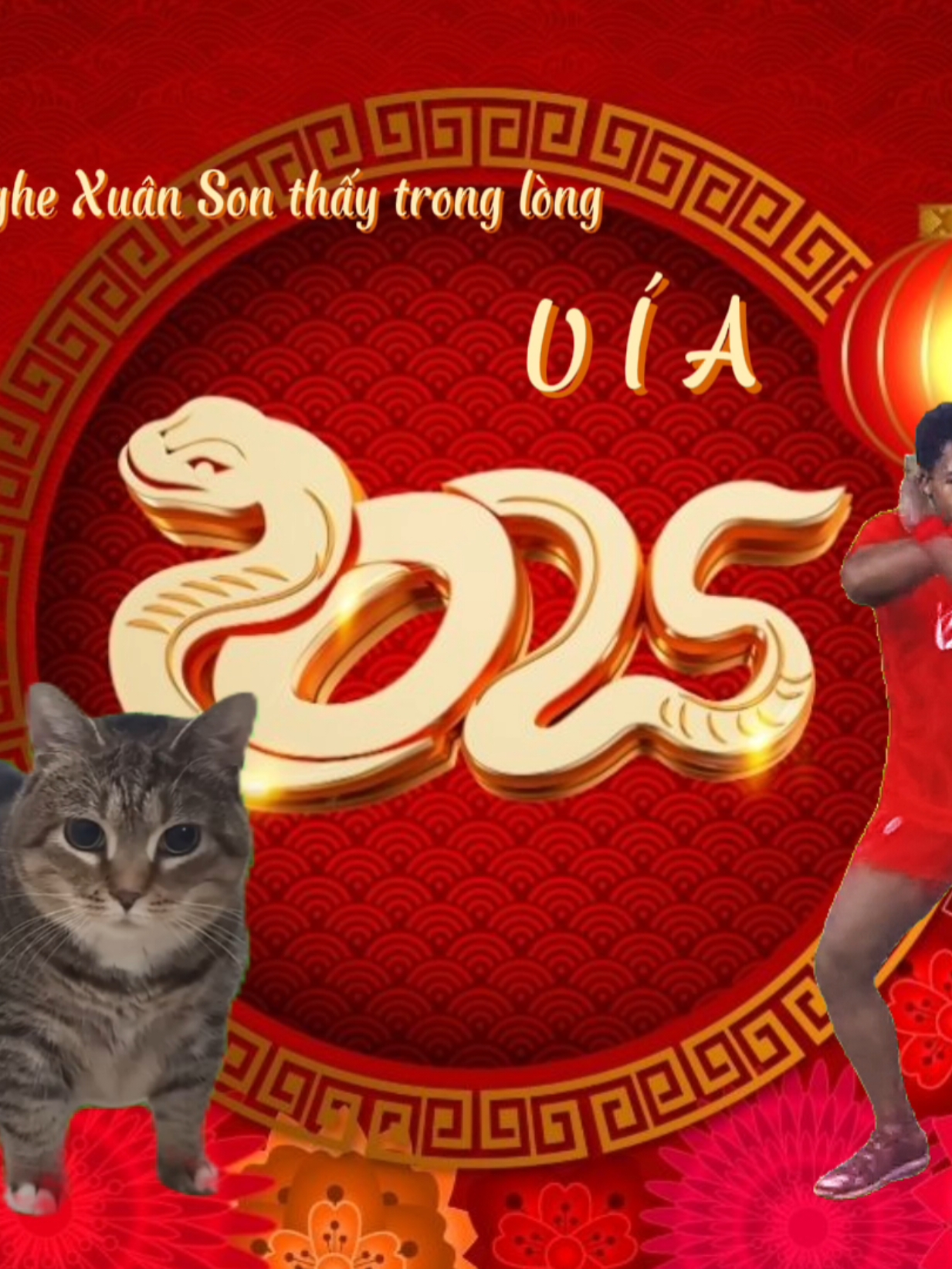 Nghe Xuân Son thấy trong lòng #uia #cats #doanxuanca #nguyenxuanson #dceegiahuy #fyp #foryou 