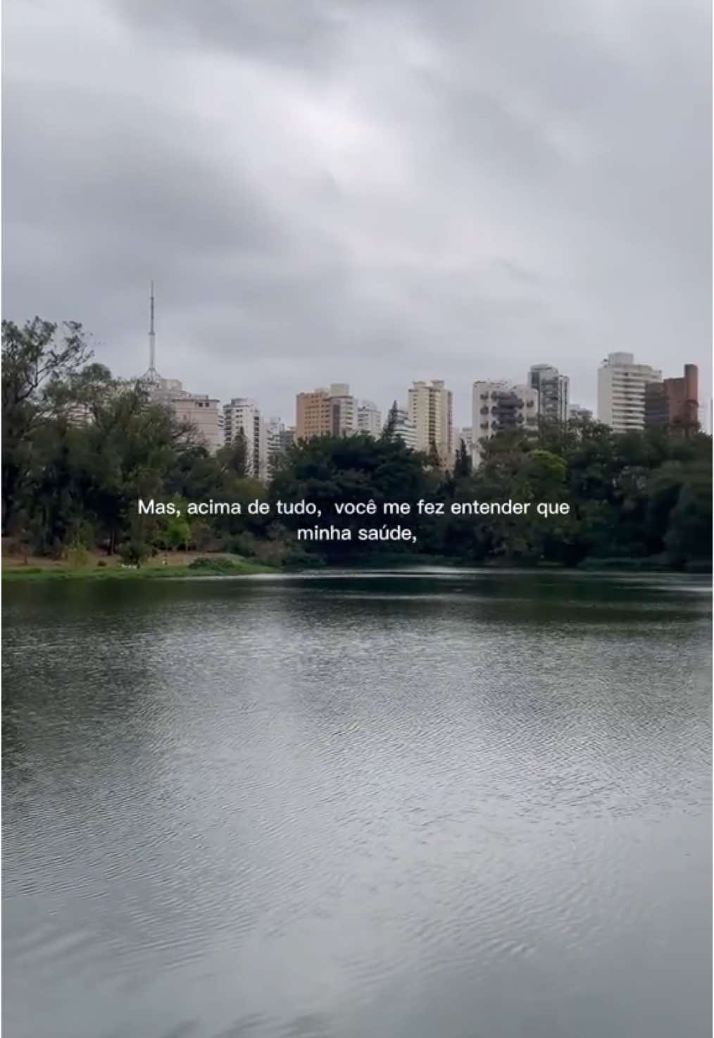 Gratidão, 2024. Bem vindo, 2025!! ✨ #odiariodedescobertas  #sp #2024 #vem2025 #gratidão #saopaulo #avpaulista #es #familytime #autocuidado #youtube #youtubechannel #positive 