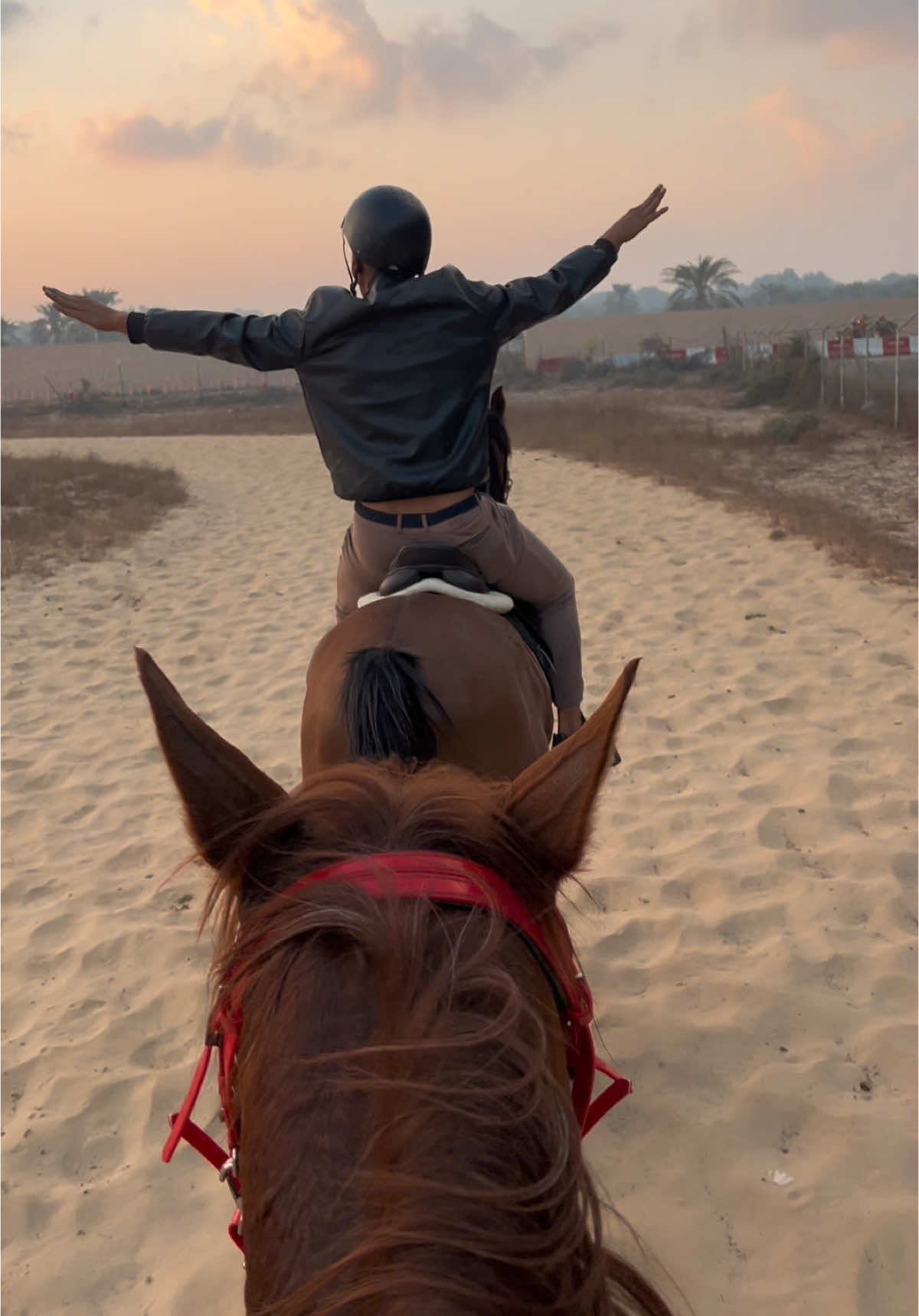 The perfect blend of freedom 🏇  #dubaihorseriding #عيضه_المنهالي_طرب 