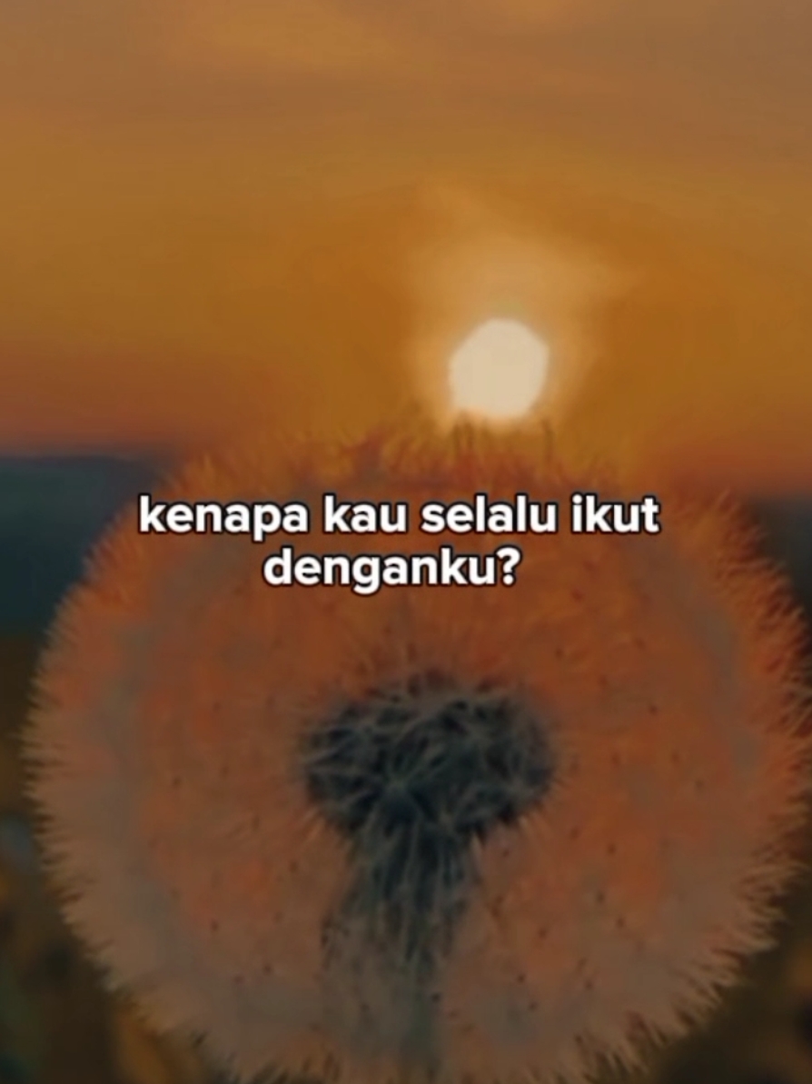 kenapa kau selalu ikut denganku...? 😌😌 #Quotesoftheday #storytime 