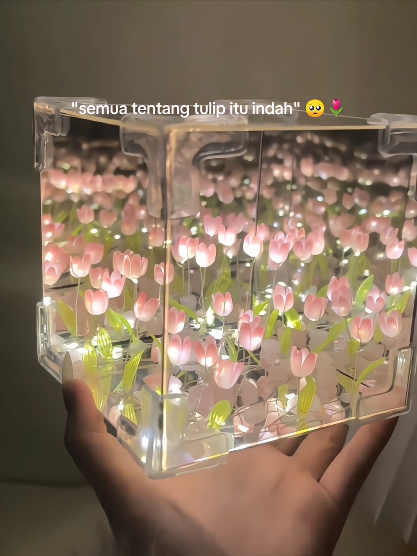 tulip secantik itu🥺🌷