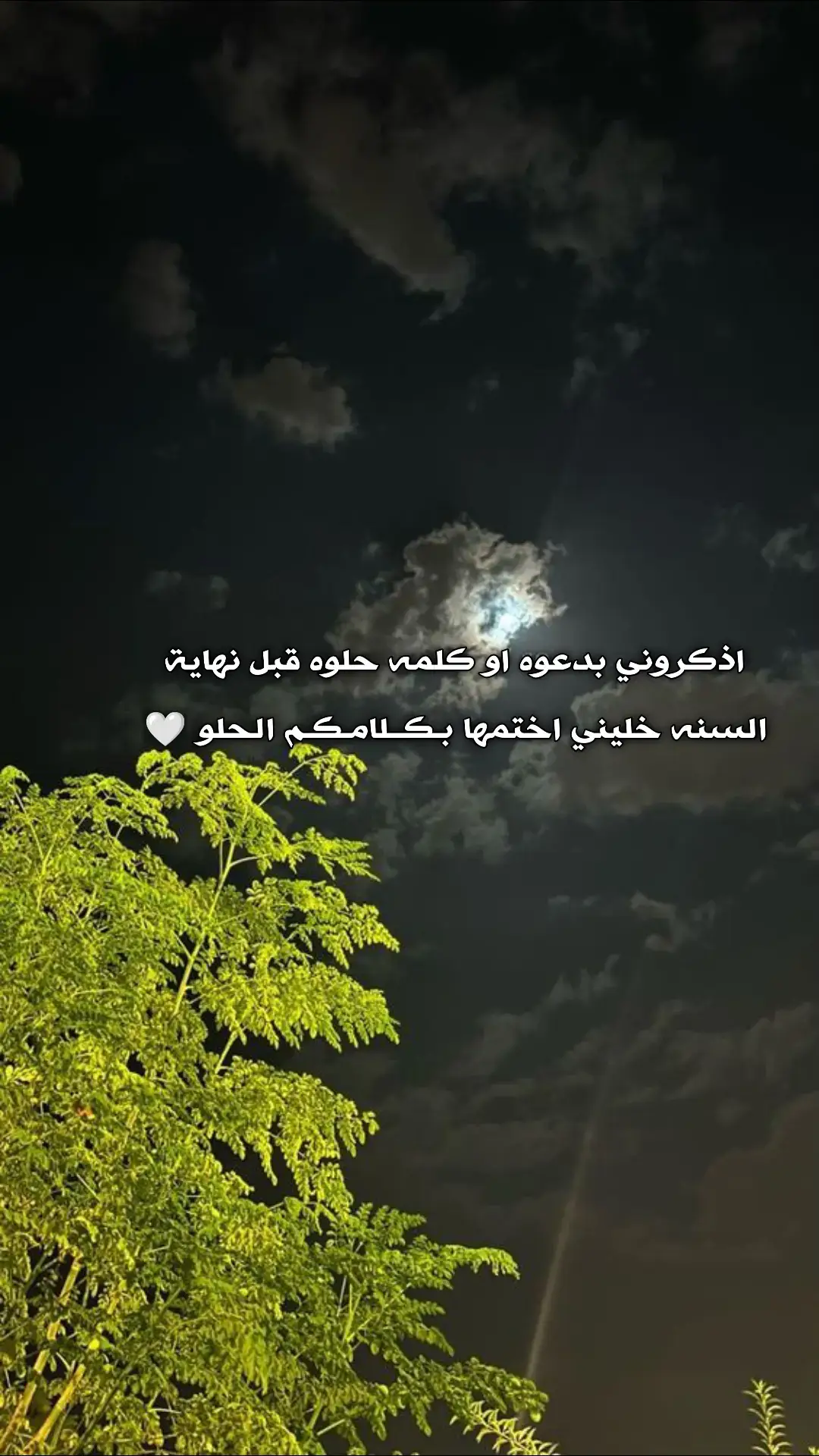 #يسعدلي__اوقاتڪۘم #اخر_عبارة_نسختها🥺💔🥀 #مجرد________ذووووووق🎶🎵💞 #طلعو_اكسبلور❤❤ #تصميم_فيديوهات🎶🎤🎬 #تصاميم_فيديوهات🎵🎤🎬 #تصميمي🎬 #محضوره_من_الاكسبلور_والمشاهدات 