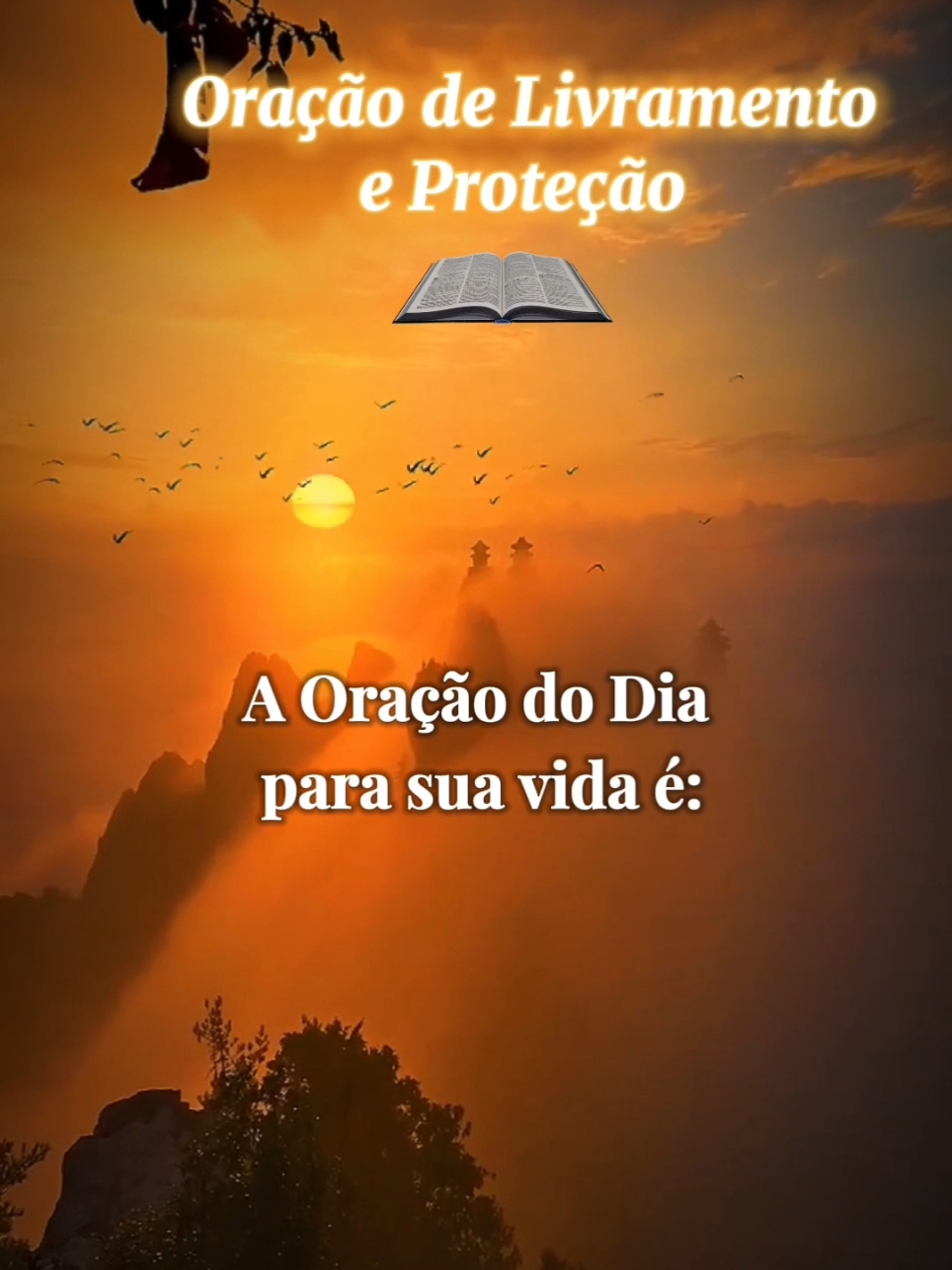 Oração do Dia para a sua vida! #oração #versiculosbiblicos #gratidão #benção #cristãosnotiktok #oraçãododia 