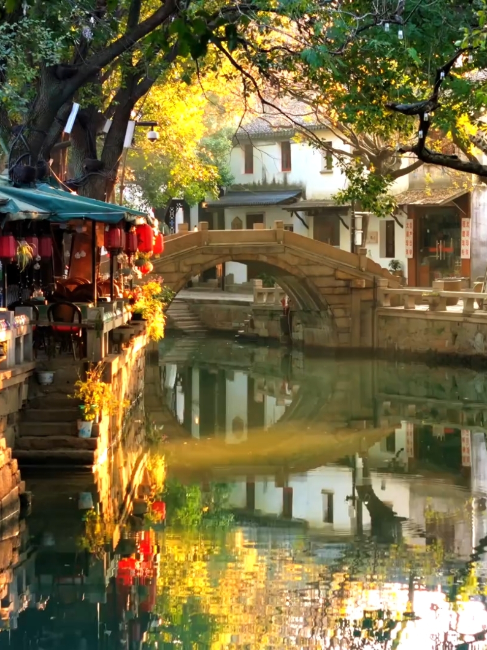Phần 306 Hẹn gặp ở Tô Châu, mọi người đang mừng năm mới #tochau #giangnam #canhdep #dulich #travel #xuhuong #phongcanhtrungquoc #苏州 #江南 #美丽场景 #中国风景 