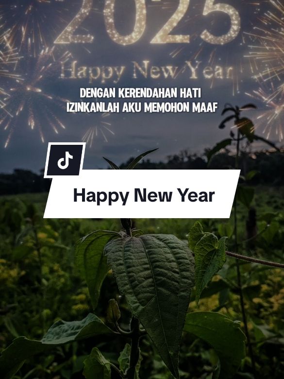 Happy new year 2025 #CapCut #welcome2025 #2024 #2025 #goodbye2024 #trending #katakata #fypシ #fyp #status #statusharian #quotestory #viral #motivasihidup #motivation #quotes #happynewyear 