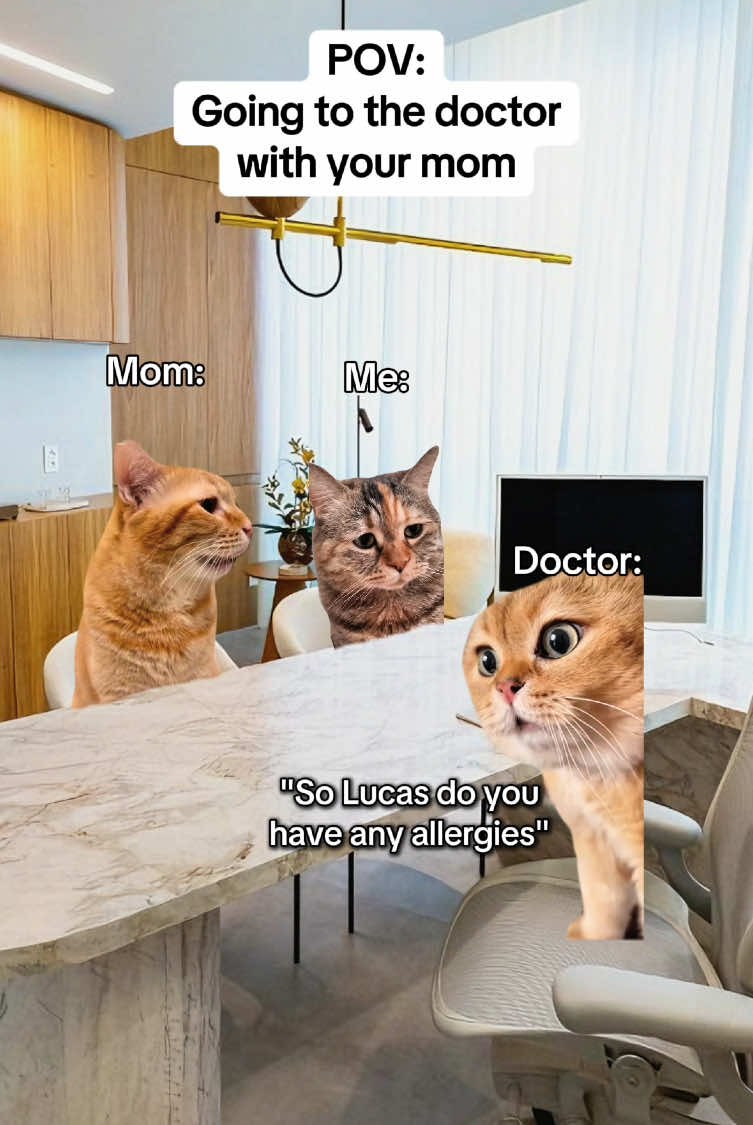 Goingto the doctor with your mom #catmemes #realatable #Relationship #mom 