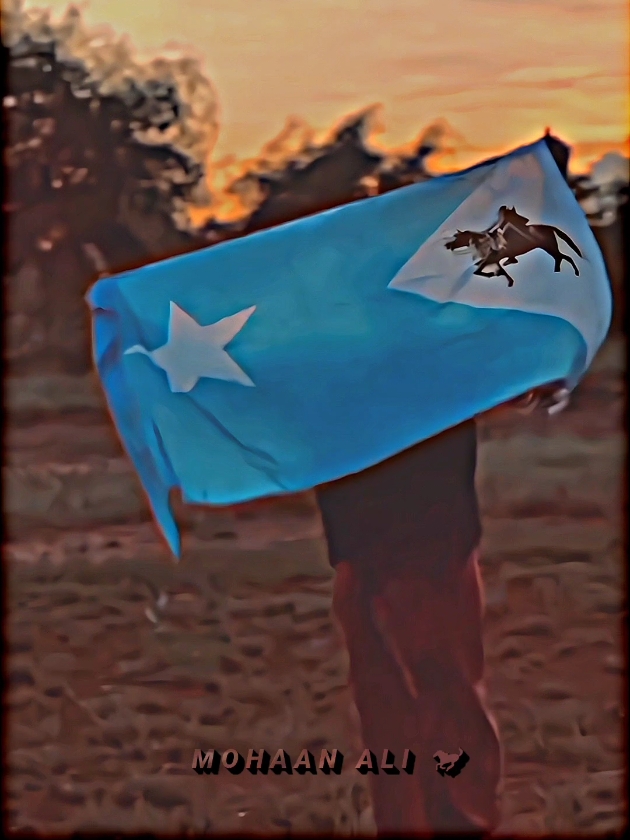 Maalinteeni maxa nooga dhiman reer ssc khaatumo🐎🩸#ssckhaatumostate💙🐎🤍 