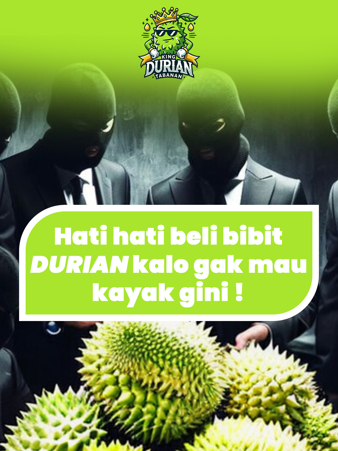 Nggak mau rugi karena salah pilih bibit durian? Yuk, belajar bareng cara memilih bibit durian yang berkualitas! 😄🌱 #Bali #fyp #durianbali #DurianMusangKing #farm #balifarm #wisatabali #kebundurian #tabananbali #DurianLovers