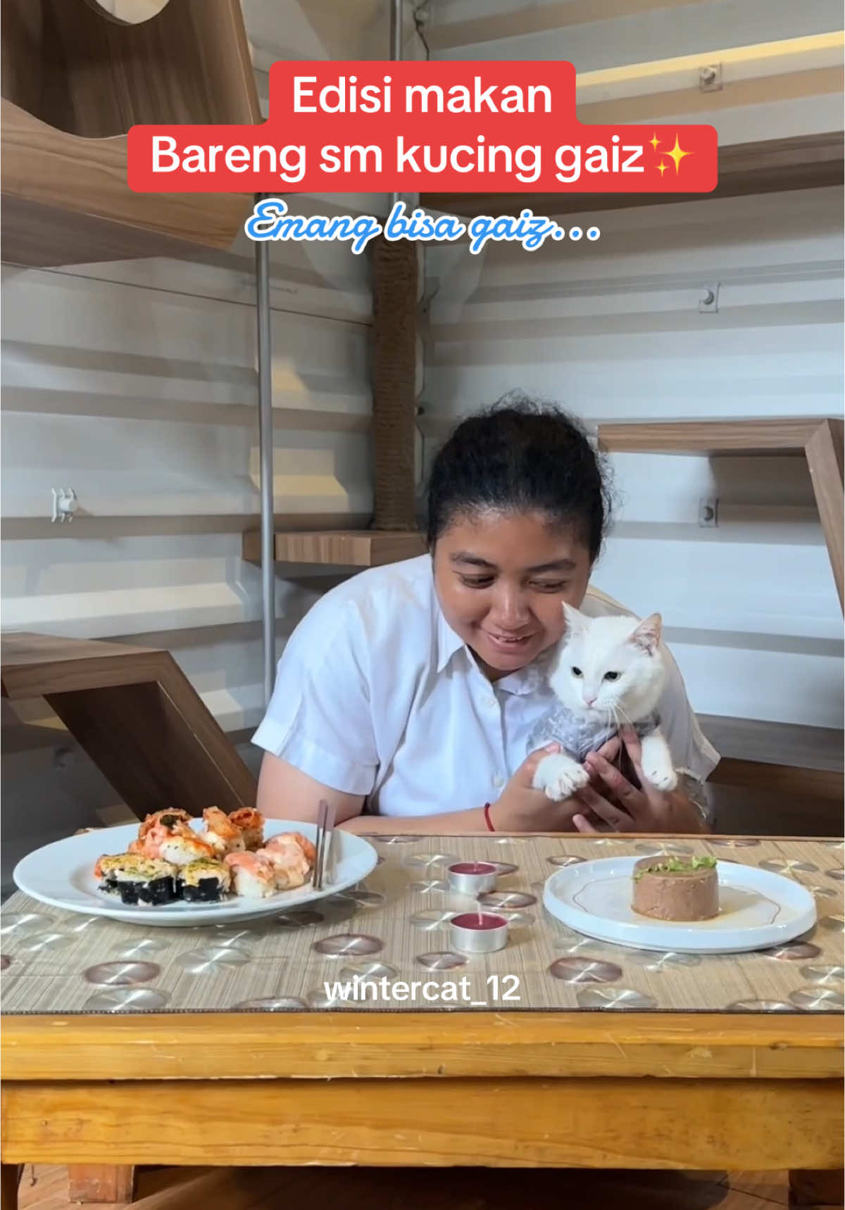 Candle  light lunch ala ala di momen spesial bareng winner 💕✨#kucingtiktok #kucingpintar #kucingcute #foryoupage #tunjukancintamudalamberbagaikelezatan @Purina_Indonesia 