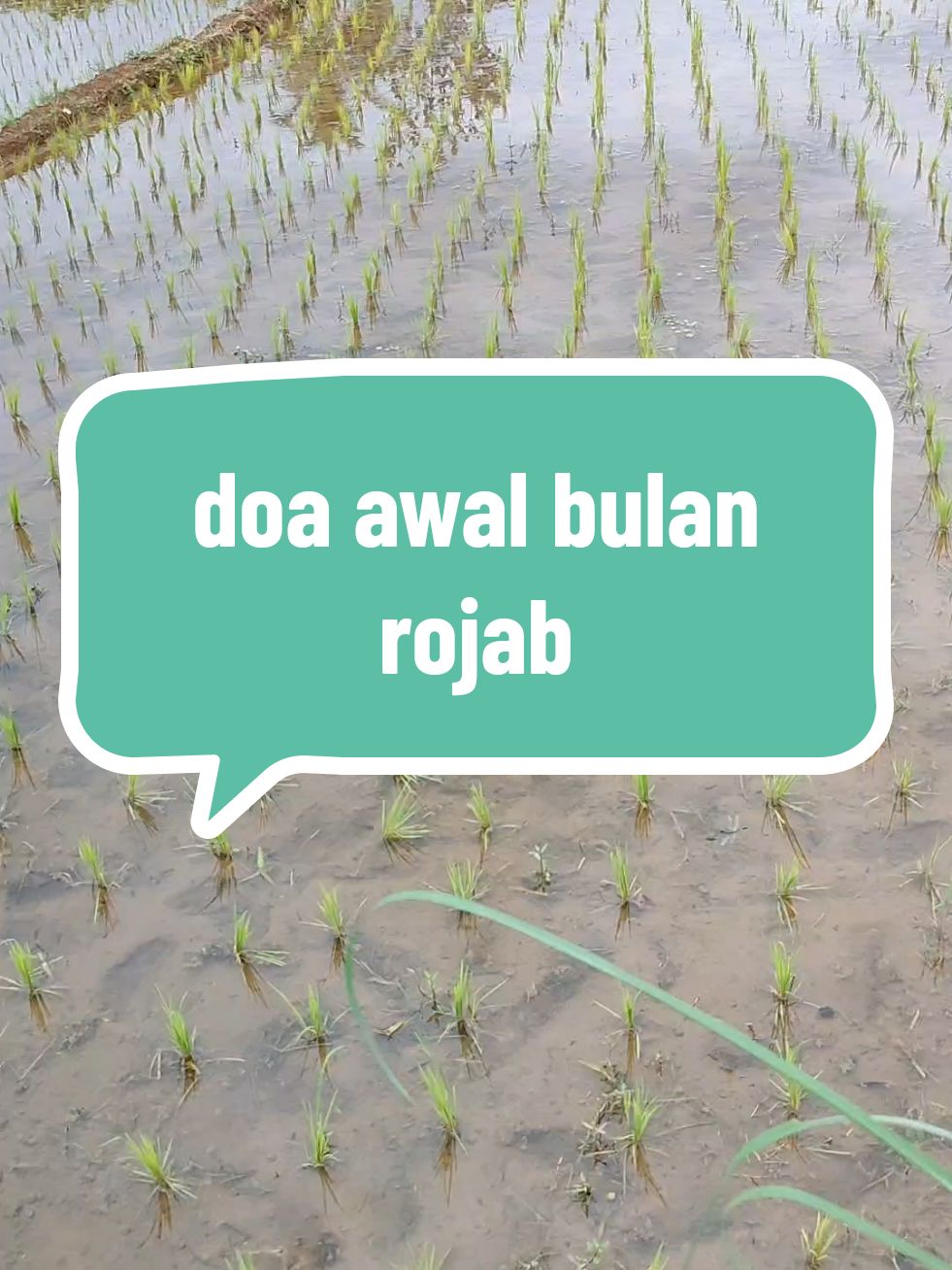 #doaawalbulanrojab 