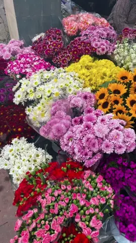 #fresflowers #foryou #fyp #aesthetic #soundviral #song 