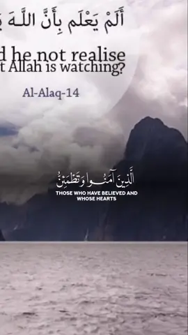 #foryoupage #fypシ゚ #fyp #Glorious #Quran #SubhanAllah#💯🦋♥️🖤💚Alhamdulillah #fypシ゚ #growmyaccounttiktokteam💯 #fypシ゚ #fypシ゚ 