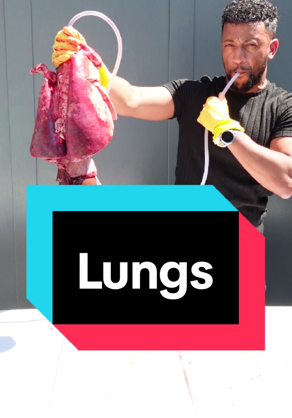 Biology class - The Lungs and gas exchange explained. Holiday reposts 🎄 #lungs #breathing #gasexchange #pulmonary #breathe #oxygen #air #rappingteacher #exams #revision #gcse #stem #school #science #combinedsciencegcse #biology 
