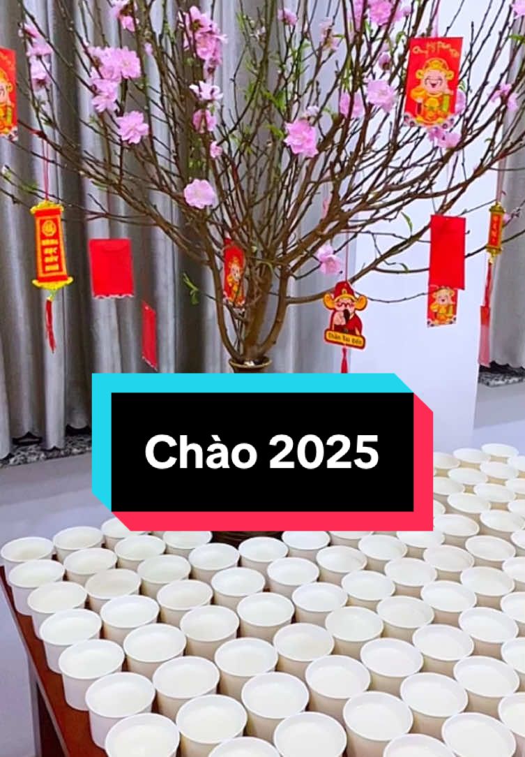 Chào 2025, hoa đào đã nở rồi cả nhà ơi 🌸 #tauhusuanon #2025 