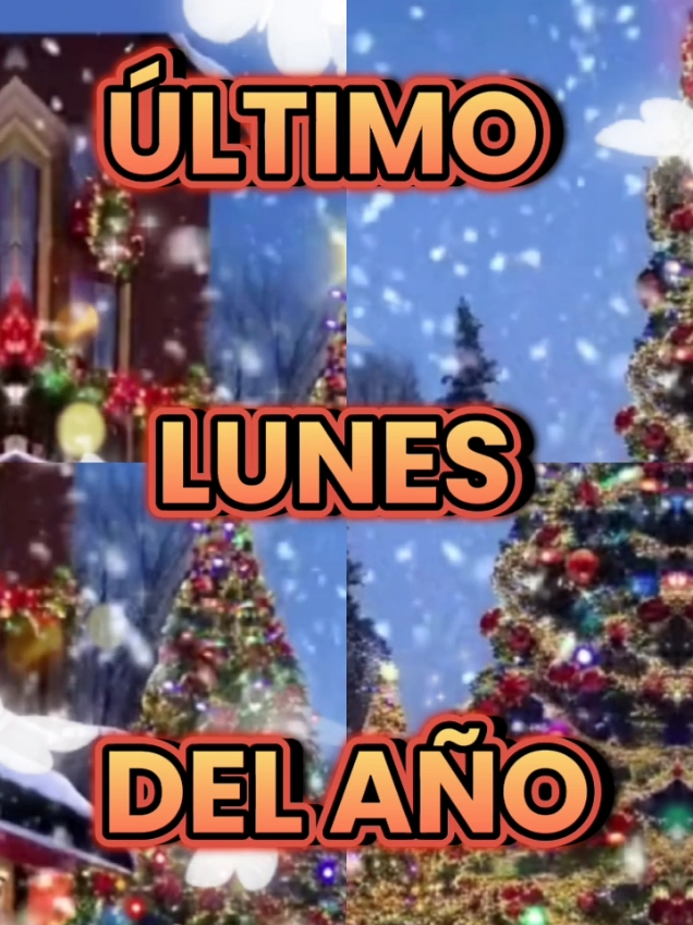 feliz lunes, último lunes del año  #felizlunes  #feliziniciodesemana  #lunes 