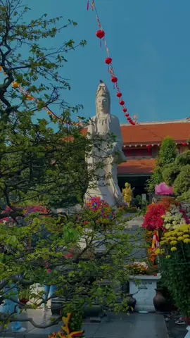 Cái phước lớn nhất của con người là tâm an lạc.. #xuhuong #fvpシ #thientuong 