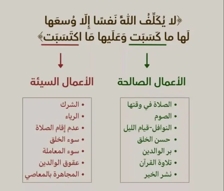 #شعب_الصيني_ماله_حل #الهشتاجات_للرخوم