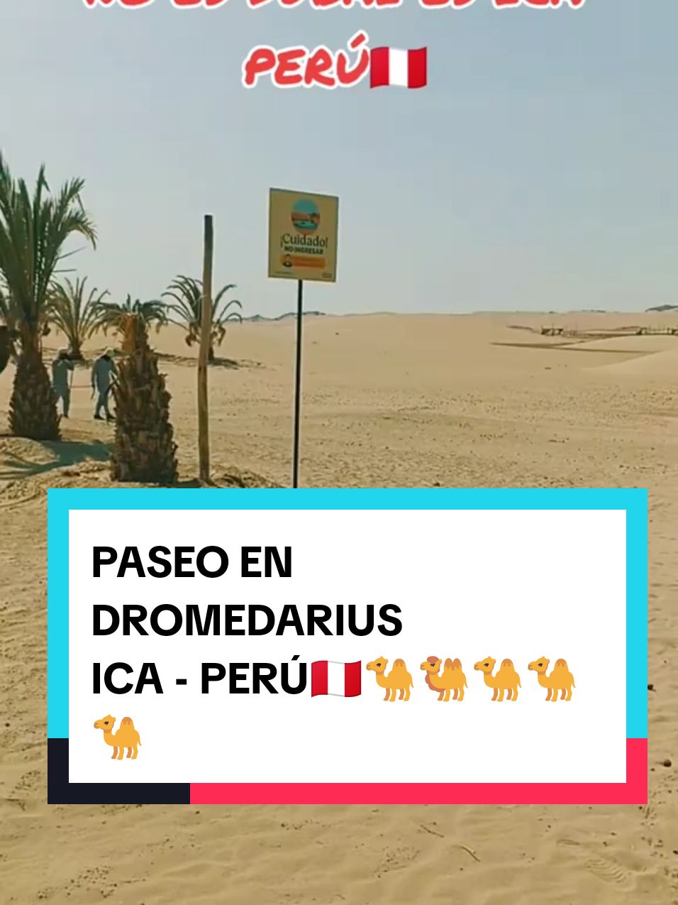 PASEOS EN DROMEDARIUS ICA - PARACAS.#guiaoficialdeturismo💕🏞️✨ #teamwork #fyp #turismo #tik_tok 