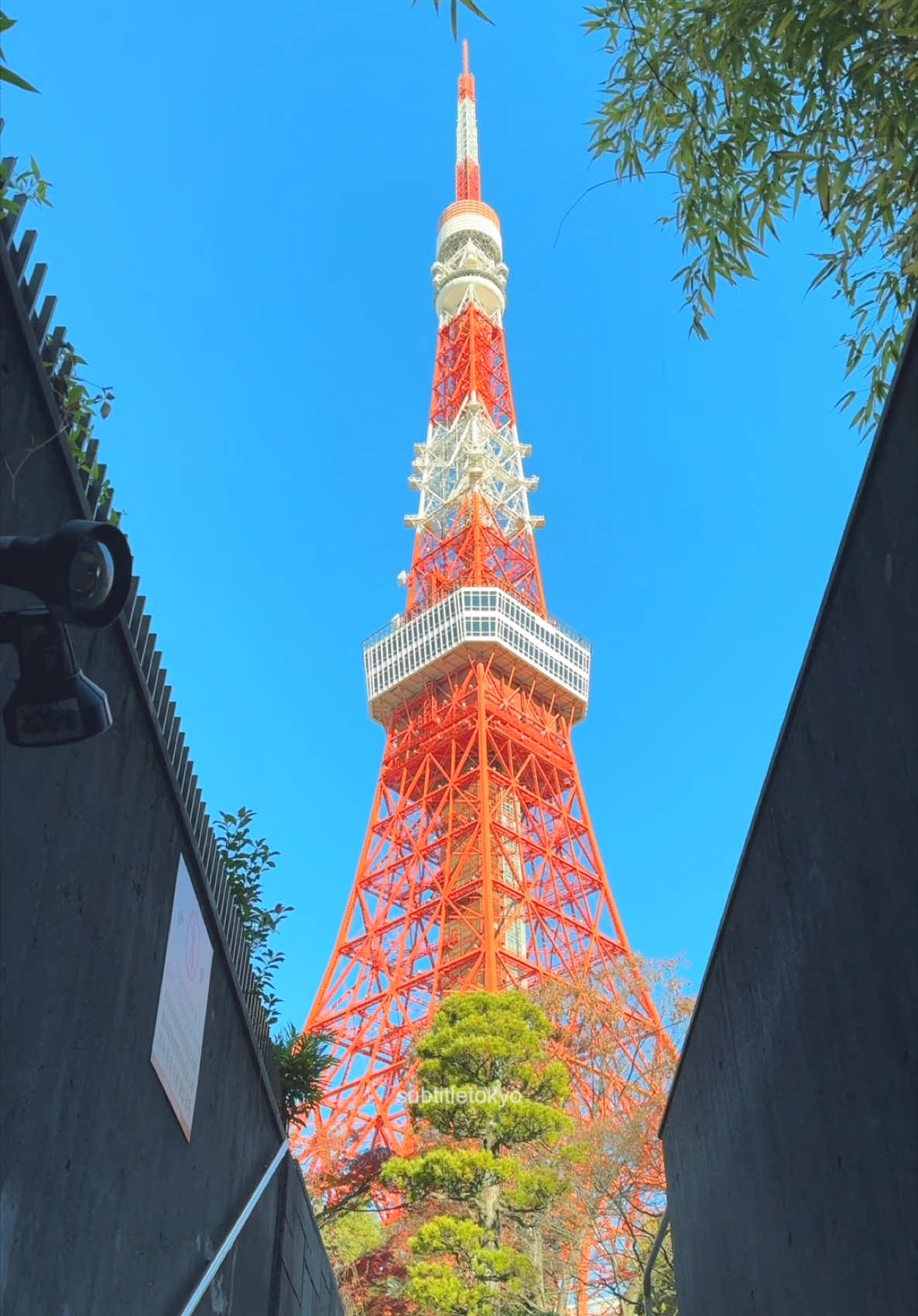 📍Tokyo Tower, Tokyo そういえばこのスポットをまだ載せてなかったですね😅🗼 SNSではド定番の東京タワースポットなのですが 最近になっては人気すぎて基本1時間は並んでいるイメージです😅 朝7時頃だと貸切状態でいけるので 気になる方は是非チェックしてください☺️ #tokyotower #도쿄타워 #東京タワー #your_tokyotower #tokyotokyo #tokyo #도쿄 #東京 