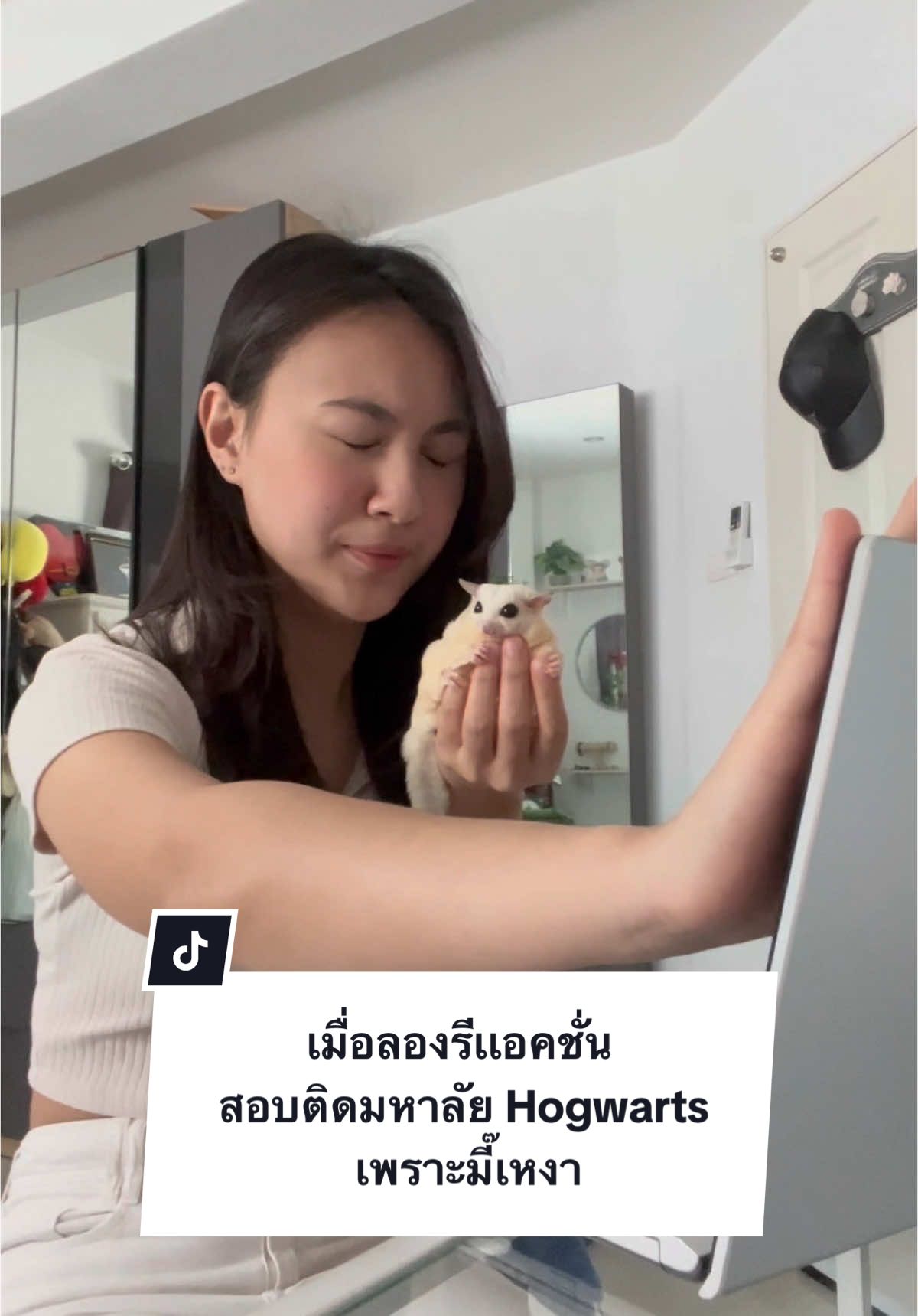 Harvard reaction with Mimi because we’re bored.🤣  #โม่มี่ชูก้าเทวดา #ชูก้าไกรเดอร์ตลก #ชูก้าไกรเดอร์ #ชูการ์ไกลเดอร์ #ชูการ์ไรเดอร์ #sugarglideroftiktok #sugarglider #สัตว์เลี้ยงtiktok #สัตว์เลี้ยงน่ารัก 