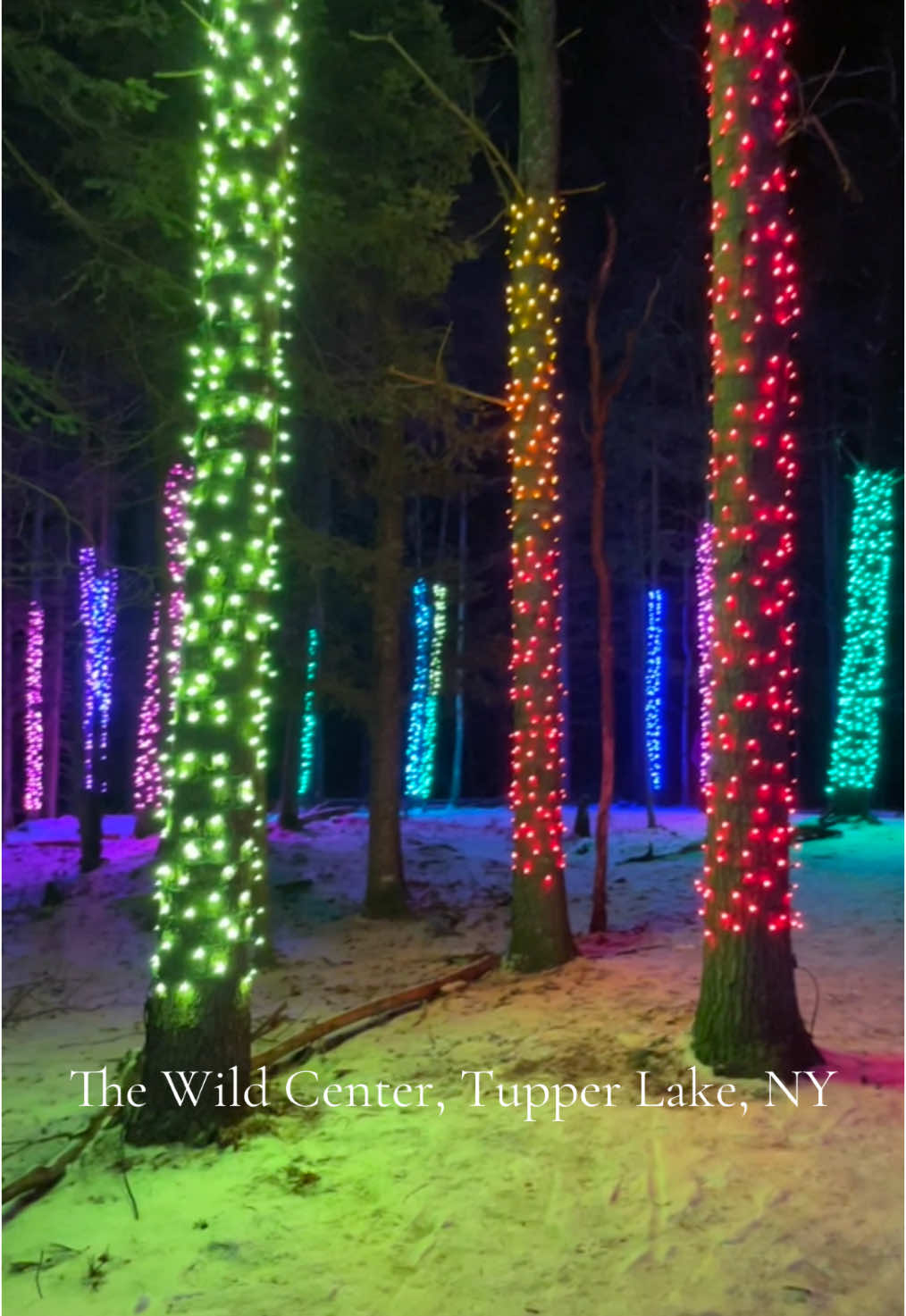 The perfect winter destination to lift your spirits during our long winters🤣 The Wild Center offers a fun walkthrough of many lights, as well as a chance to check out their huge treehouses. There is also the Natural History of the Musuem of the Adirondacks included in your ticket price! #winteractivities #winter #adirondacks #winterishere #Hiking #travel #traveltiktok #fyp #newyork 