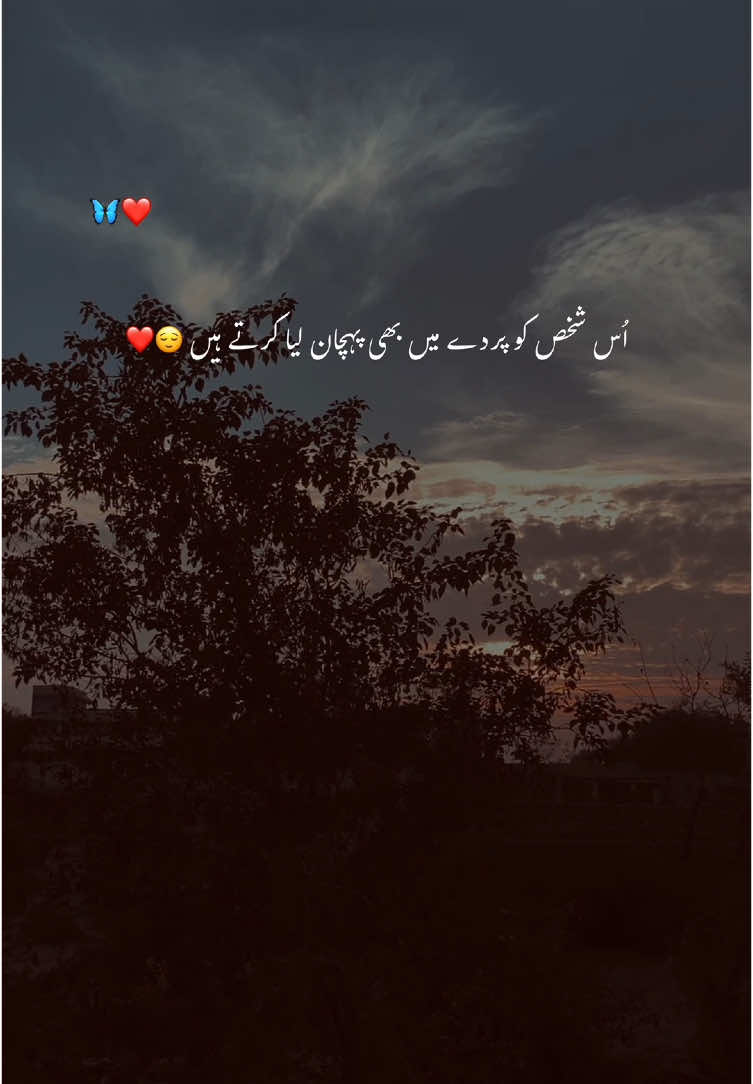 ایک جلک دیکھ کر جس شخص کی چاہت ہو جائے 😇🤌🏻#fyp #1millionaudition #foryoupage #account #grow #viral #urdu #aesthetic #poetry 