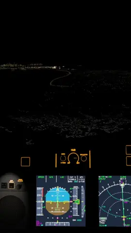 Night Landing with @atcading as Manila Tower.  Happy New Year! #xplane12 #xplane #simpilot #flightsim #vatsim #happynewyear #fyp
