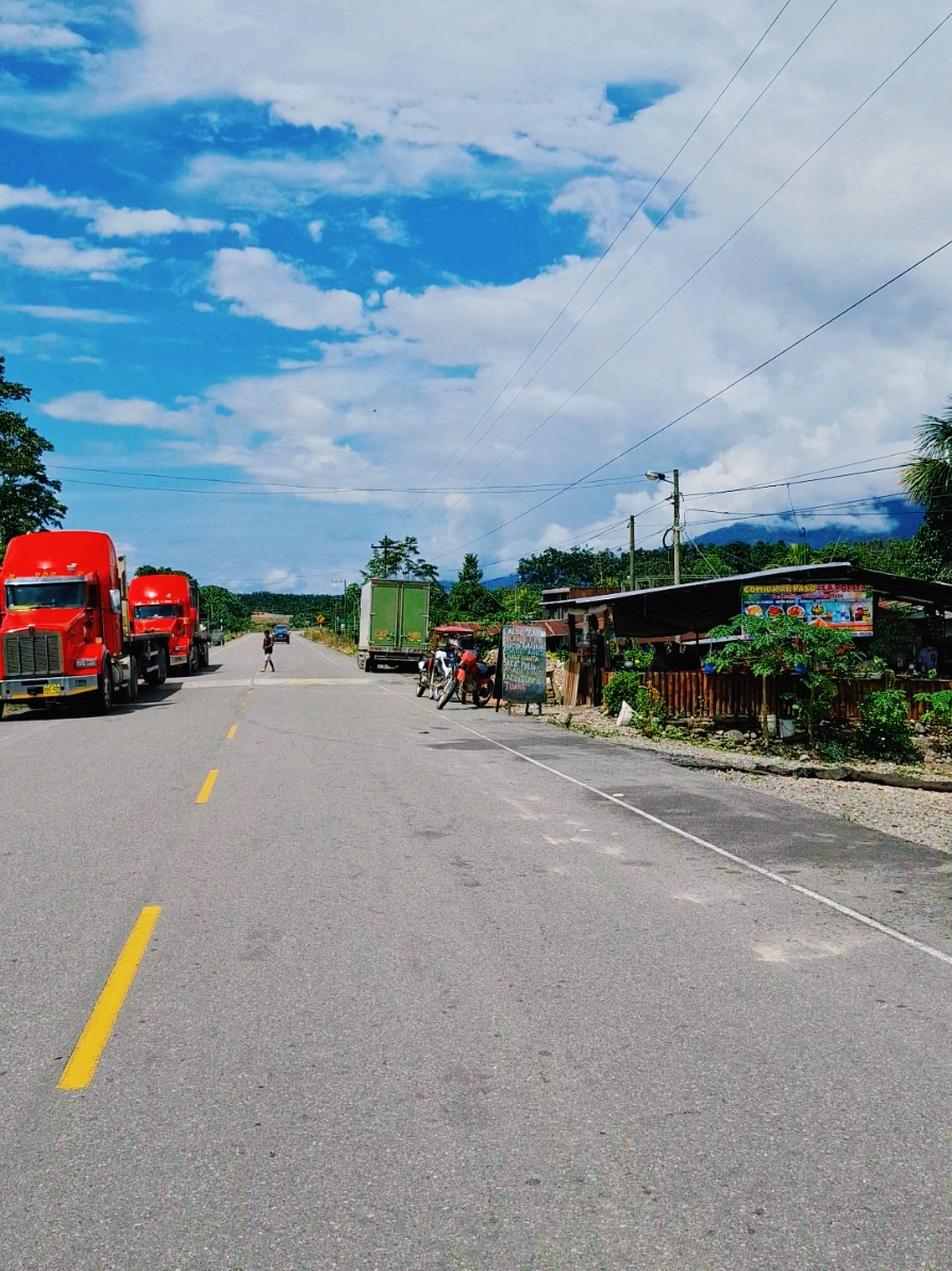 NOS VAMOS A LA SELVA #selvaperuana #paraiso #tropical #LIVEhighlights #TikTokLIVE #LIVE #foryou #enruta #tocache #sanmartin #parati #guambrita #selvaticabonita🥰 