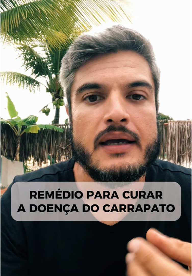 ⚠️FIQUE ATENTO COM O TIPO DE DOENÇA DO CARRAPATO⚠️ #doencadocarrapato #carrapato #parasita #saudeanimal #remedio #remedios #cachorro #cachorros #pet #pets #filhote #filhotes #dog #dogs 